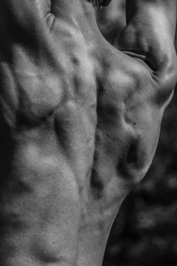 Siyah ve beyaz kaslı bir adamın resmi, atletik vücut, yakışıklı kaslı şekiller, rahatlama. Güzel güçlü ve esnek vücut, seksi cazibe.