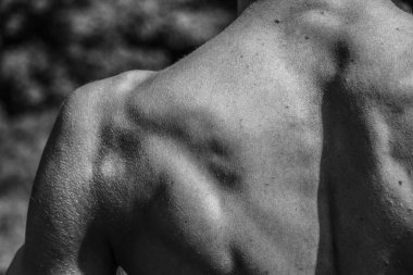 Siyah ve beyaz kaslı bir adamın resmi, atletik vücut, yakışıklı kaslı şekiller, rahatlama. Güzel güçlü ve esnek vücut, seksi cazibe.