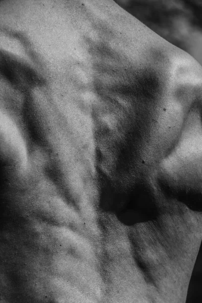 Черно Белый Образ Мускулистого Человека Спортивное Тело Красивые Мужские Мышечные — стоковое фото