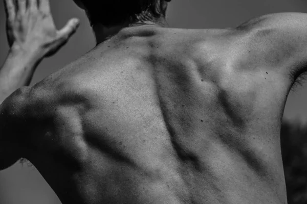 Svart Och Vit Bild Muskulös Man Atletisk Kropp Vackra Maskulina — Stockfoto