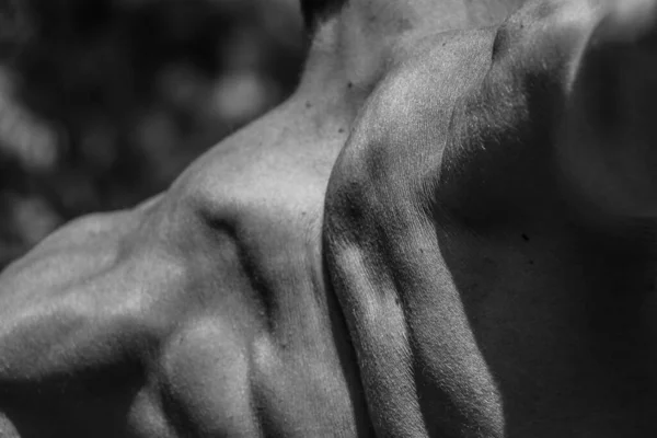 Imagen Blanco Negro Hombre Musculoso Cuerpo Atlético Hermosas Formas Musculares — Foto de Stock