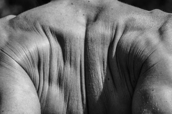 Imagen Blanco Negro Hombre Musculoso Cuerpo Atlético Hermosas Formas Musculares — Foto de Stock