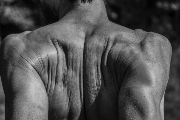 Imagen Blanco Negro Hombre Musculoso Cuerpo Atlético Hermosas Formas Musculares —  Fotos de Stock