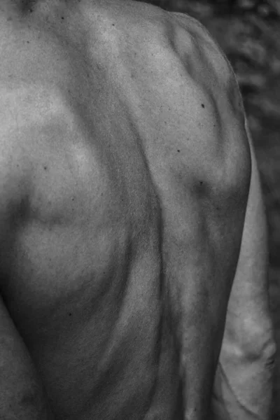 Imagem Preto Branco Homem Musculoso Corpo Atlético Formas Musculares Masculinas — Fotografia de Stock