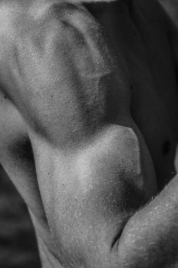 Erkek eli, kaslı bir adamın siyah-beyaz görüntüsü, atletik vücut, kasların güzel erkeksi biçimleri, rahatlama. Güzel güçlü ve esnek vücut, seksi cazibe.