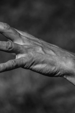 Erkek eli, kaslı bir adamın siyah-beyaz görüntüsü, atletik vücut, kasların güzel erkeksi biçimleri, rahatlama. Güzel güçlü ve esnek vücut, seksi cazibe.