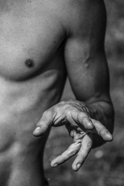 Erkek eli, kaslı bir adamın siyah-beyaz görüntüsü, atletik vücut, kasların güzel erkeksi biçimleri, rahatlama. Güzel güçlü ve esnek vücut, seksi cazibe.