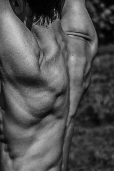 Imagem Preto Branco Homem Musculoso Corpo Atlético Formas Musculares Masculinas — Fotografia de Stock