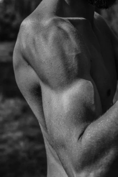 Manos Masculinas Cerca Imagen Blanco Negro Hombre Musculoso Cuerpo Atlético — Foto de Stock