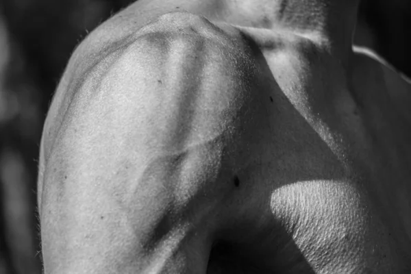 Manos Masculinas Cerca Imagen Blanco Negro Hombre Musculoso Cuerpo Atlético — Foto de Stock