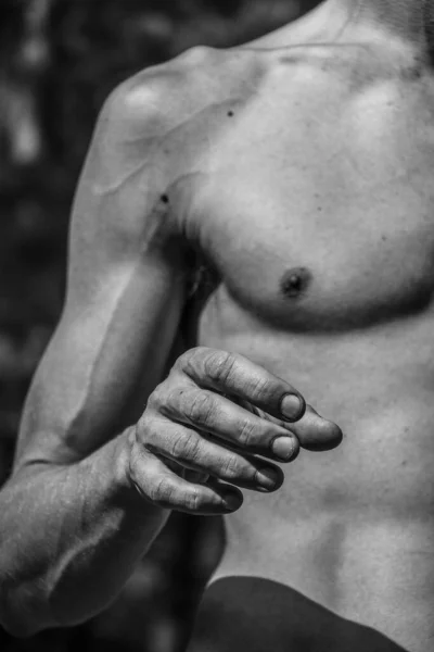 Erkek Eli Kaslı Bir Adamın Siyah Beyaz Görüntüsü Atletik Vücut — Stok fotoğraf