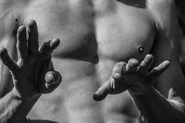 Male hands close-up Black and white image of a muscular man, athletic body, beautiful masculine forms of muscles, relief. Beautiful strong and flexible body, sexy attractive.