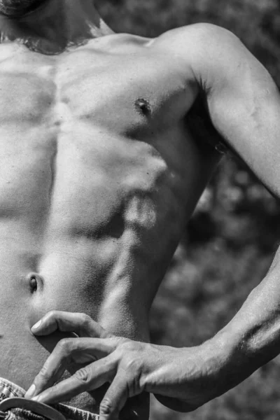 Torso Masculino Ombligo Pecho Hombros Primer Plano Imagen Blanco Negro — Foto de Stock