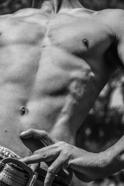 男性の胴 胸の腹の肩のクローズアップ筋肉の男の黒と白のイメージ 運動体 筋肉の美しい男性形 美しく強く柔軟な体 セクシーな魅力 — ストック写真