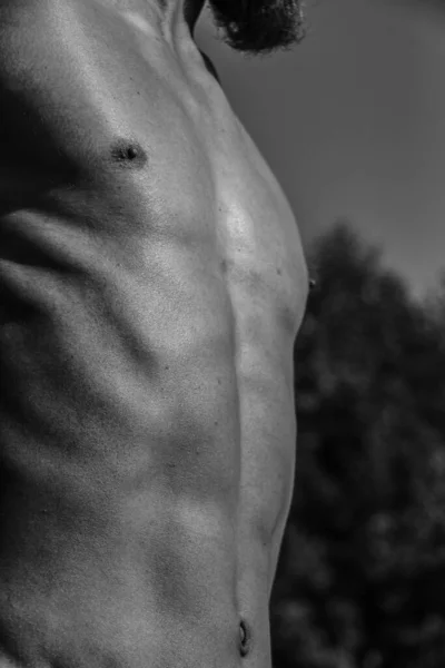 Torso Masculino Ombligo Pecho Hombros Primer Plano Imagen Blanco Negro — Foto de Stock