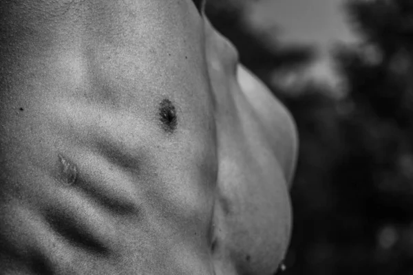 Torso Masculino Ombligo Pecho Hombros Primer Plano Imagen Blanco Negro — Foto de Stock