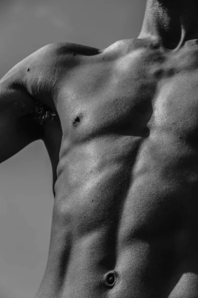 Torso Masculino Ombligo Pecho Hombros Primer Plano Imagen Blanco Negro —  Fotos de Stock