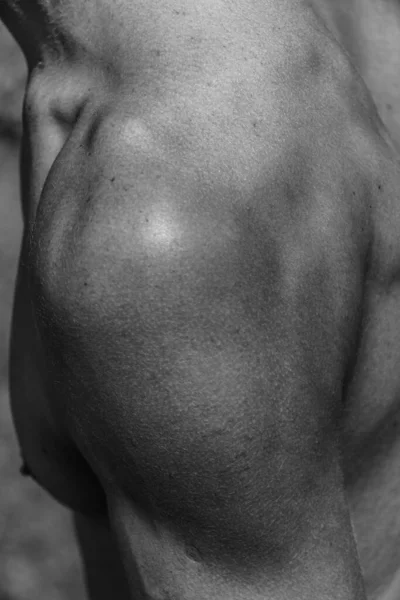 Torso Masculino Ombligo Pecho Hombros Primer Plano Imagen Blanco Negro — Foto de Stock