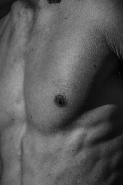 Torso Masculino Ombligo Pecho Hombros Primer Plano Imagen Blanco Negro —  Fotos de Stock