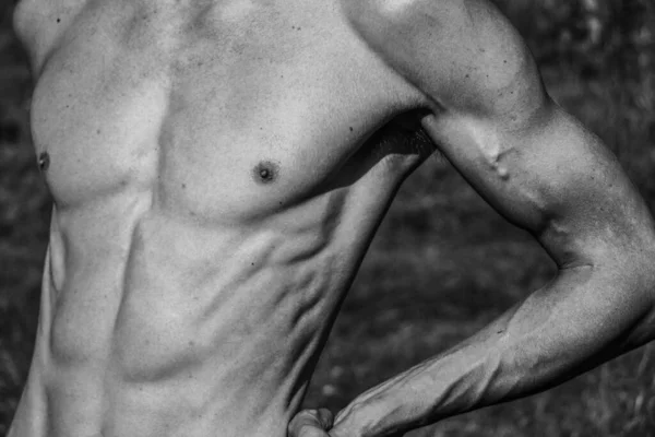 Torso Masculino Ombligo Pecho Hombros Primer Plano Imagen Blanco Negro — Foto de Stock