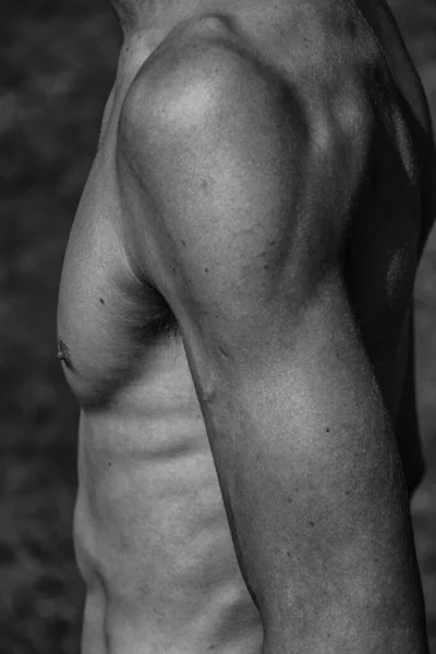 Torso Masculino Ombligo Pecho Hombros Primer Plano Imagen Blanco Negro — Foto de Stock