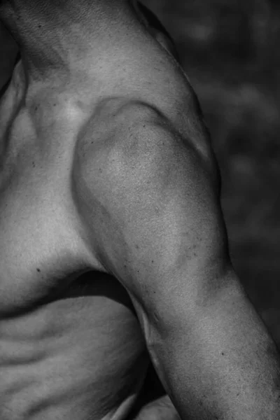Torse Masculin Épaules Thoraciques Gros Plan Image Noir Blanc Homme — Photo