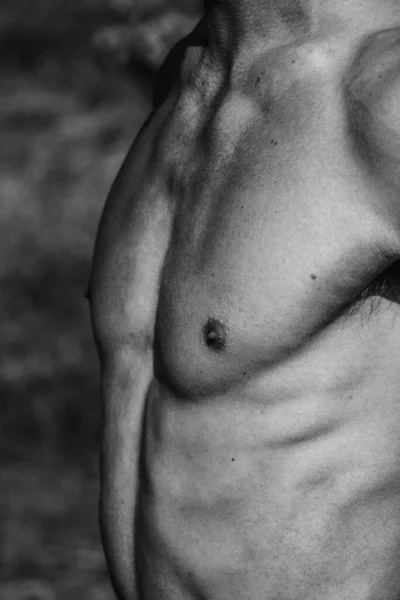 Erkek Gövdesi Göğüs Omuzları Kaslı Bir Adamın Siyah Beyaz Görüntüsü — Stok fotoğraf