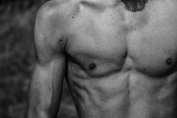 Torso Masculino Ombligo Pecho Hombros Primer Plano Imagen Blanco Negro —  Fotos de Stock