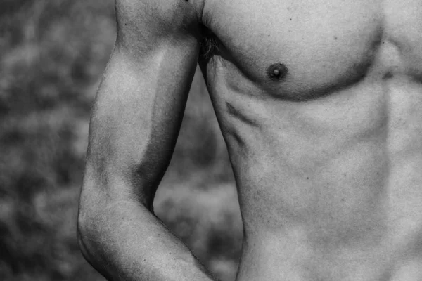 Torso Masculino Ombligo Pecho Hombros Primer Plano Imagen Blanco Negro — Foto de Stock