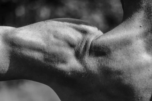 Male Hands Close Black White Image Muscular Man Athletic Body — Stock Photo, Image