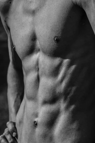 Male Torso Chest Belly Shoulders Close Black White Image Muscular — Stock Photo, Image