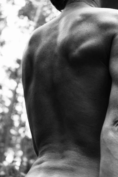 Nahaufnahme Anmutige Pose Des Weiblichen Nackten Rückens Schöner Athletischer Frauenkörper — Stockfoto