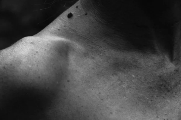 beautiful female clavicle shoulder neck black and white photo, embossed athletic body, natural light. close-up, details of skin features, freckles
