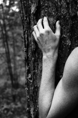 Güzel kadının zarif pozu elleri siyah beyaz fotoğraf, arka planda çam ağacı kabuğu doğal poz.