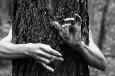 Güzel kadının zarif pozu elleri siyah beyaz fotoğraf, arka planda çam ağacı kabuğu doğal poz.