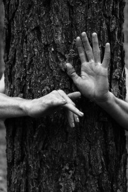 Güzel kadının zarif pozu elleri siyah beyaz fotoğraf, arka planda çam ağacı kabuğu doğal poz.