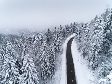 Kış harikalar diyarı karlı yol