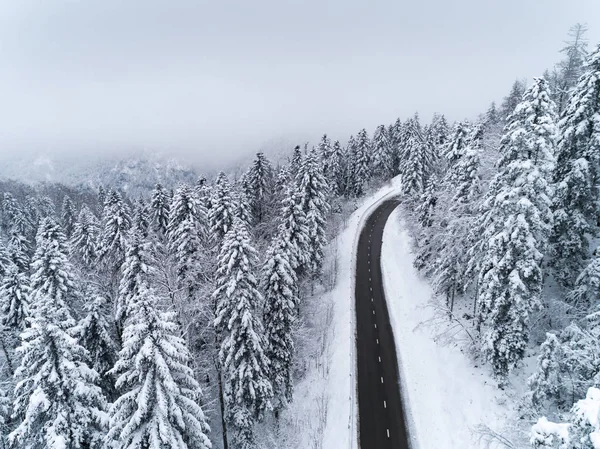 Winter wonderland snowy road — Stock Photo, Image