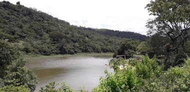 Florest üzerinde Itamatamirim, iç Pernambuco, Brezilya.