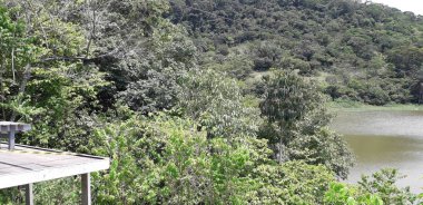 Florest üzerinde Itamatamirim, iç Pernambuco, Brezilya.