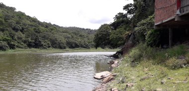 Florest üzerinde Itamatamirim, iç Pernambuco, Brezilya.