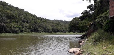 Florest üzerinde Itamatamirim, iç Pernambuco, Brezilya.