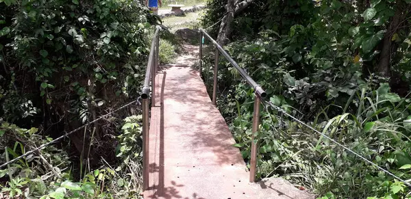 Μικρή γέφυρα στο florest στο Itamatamirim, το εσωτερικό του Περναμπούκο, Βραζιλία. — Φωτογραφία Αρχείου
