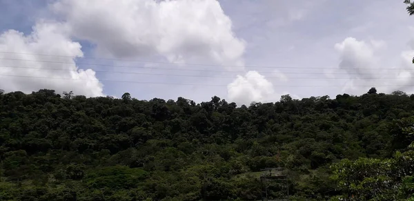 Florest su Itamatamirim, interno del pernambuco, Brasile . — Foto Stock