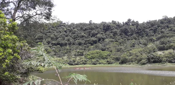 Florest em Itamatamirim, interior de pernambuco, Brasil . — Fotografia de Stock