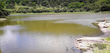 Nehirde bir florest üzerinde Itamatamirim, iç Pernambuco, Brezilya.