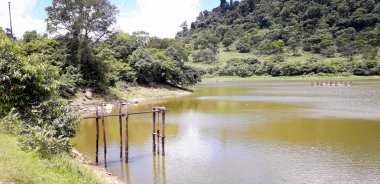 Nehirde bir florest üzerinde Itamatamirim, iç Pernambuco, Brezilya.