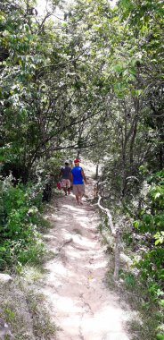 Florest üzerinde Itamatamirim, iç Pernambuco, Brezilya.