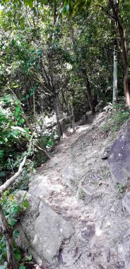 Florest üzerinde Itamatamirim, iç Pernambuco, Brezilya.