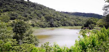 Nehirde bir florest üzerinde Itamatamirim, iç Pernambuco, Brezilya.